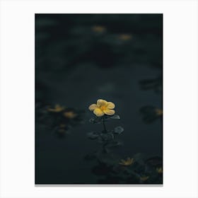 Single Yellow Flower In Water 1 Canvas Print