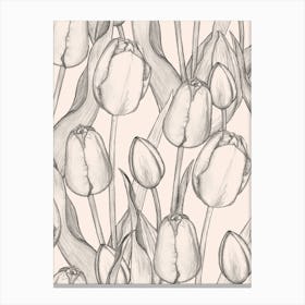 Tulips Canvas Print