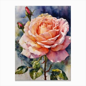 Hybrid Tea Rose Canvas Print