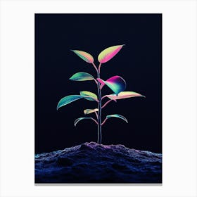 Tree In The Dark 7 Canvas Print