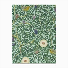 Kiwi Vintage Botanical Fruit Canvas Print