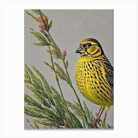 Yellowhammer Haeckel Style Vintage Illustration Bird Canvas Print