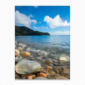 Beach With Jellyfish Canvas Print