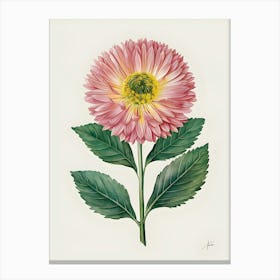 Chrysanthemum 1 Canvas Print