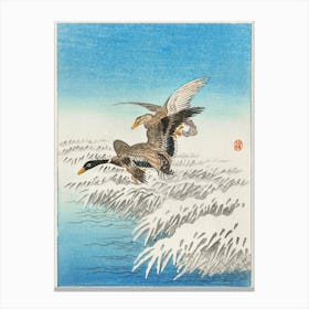 Pair Of Ducks Flying Over Snowy Reed, Ohara Koson Vintage Japanese Canvas Print