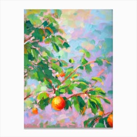 Grapefruit Tree 2 Impressionist Painting Plant Canvas Print