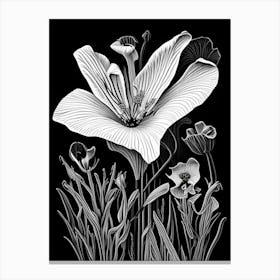 Desert Mariposa Lily Wildflower Linocut 2 Canvas Print