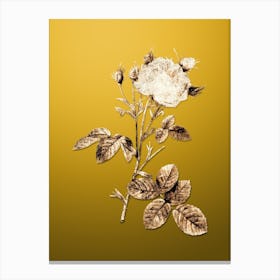 Gold Botanical White Provence Rose on Mango Yellow n.2328 Canvas Print