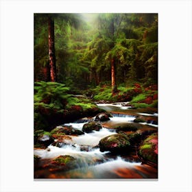 Stream In The Forest 5 Canvas Print