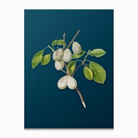 Vintage Plum Botanical Art on Teal Blue n.0769 Canvas Print