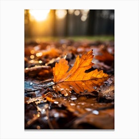 Autumn Leaves after Rain 2 Canvas Print