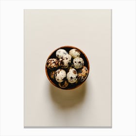 Quail Eggs In A Bowl Canvas Print