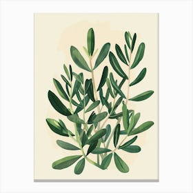 Jade Plant Minimalist Illustration 8 Canvas Print