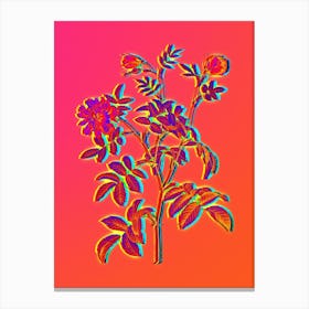 Neon Cinnamon Rose Botanical in Hot Pink and Electric Blue n.0452 Canvas Print