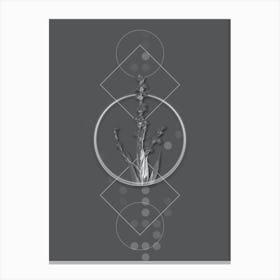 Vintage Pale Yellow Eyed Grass Botanical with Line Motif and Dot Pattern in Ghost Gray Canvas Print