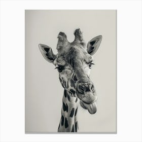 Giraffe 21 Canvas Print