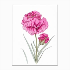 Carnation Floral Quentin Blake Inspired Illustration 2 Flower Canvas Print