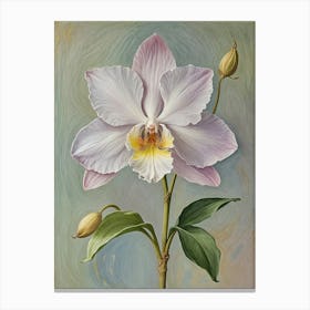 Pastel Orchid Canvas Print