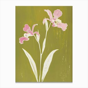 Pink & Green Monkey Orchid Canvas Print