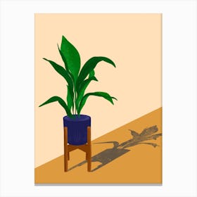 House Plant Canvas Print