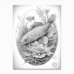 Soragoi Koi Fish Haeckel Style Illustastration Canvas Print