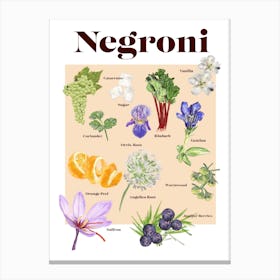 Negroni Cocktail Canvas Print