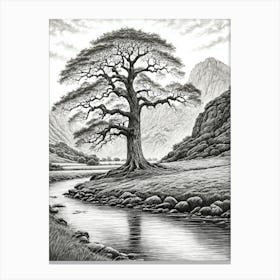 highly detailed pencil sketch of oak tree next to stream, mountain background 8 Canvas Print