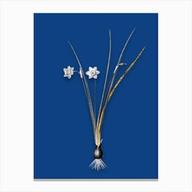 Vintage Daffodil Black and White Gold Leaf Floral Art on Midnight Blue n.0936 Canvas Print