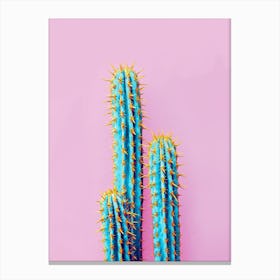Fluro Cactus In Canvas Print