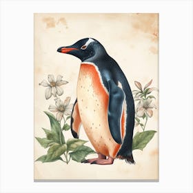 Adlie Penguin Fernandina Island Vintage Botanical Painting 3 Canvas Print