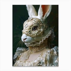Rabbit In A Dress 1 Canvas Print