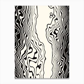 Black and White Squiggle Wavy Stripes Canvas Print