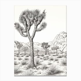  Detailed Drawing Of A Joshua Trees In Mojave Desert 1 Canvas Print