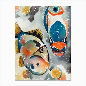 Tang Fish Vintage Graphic Watercolour Canvas Print