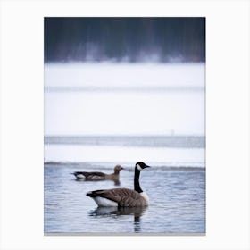 A Head Of A Wild Glossy Canadian Goose Pausing Sleepily During A Wintery Sojourn By The Icy Lake In (1) Canvas Print