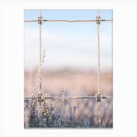 Frozen Plants And Fence Canvas Print