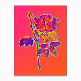 Neon French Rose Botanical in Hot Pink and Electric Blue n.0045 Canvas Print