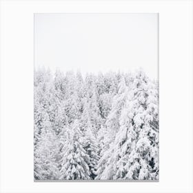 Snowy Forest Trees Canvas Print