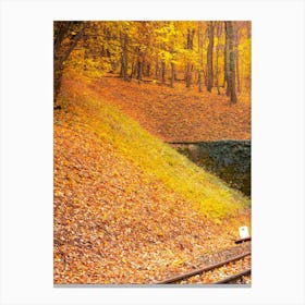 Autumn Leaves In The Forest 3 Canvas Print