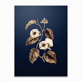 Gold Botanical Hoary Jacquemontia Flower on Midnight Navy n.0472 Canvas Print