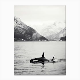 Black & White Icy Mountain Photography Style Of Orca Whale 3 Canvas Print