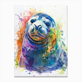 Elephant Seal Colourful Watercolour 1 Canvas Print