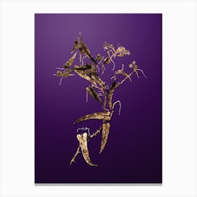 Gold Botanical Rough Bindweed on Royal Purple n.2726 Canvas Print