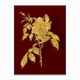 Vintage Fragrant Rosebush Botanical in Gold on Red n.0475 Canvas Print