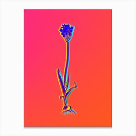 Neon Chincherinchee Botanical in Hot Pink and Electric Blue n.0085 Canvas Print