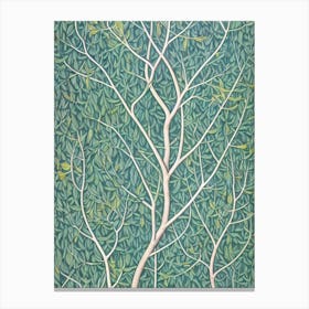 Quaking Aspen Seedlings 4 tree Vintage Botanical Canvas Print