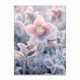 Frosty Botanical Lenten Rose 1 Canvas Print