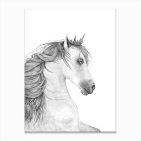 Queen Horse Canvas Print
