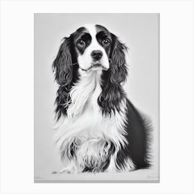 Spaniel (Field) B&W Pencil dog Canvas Print