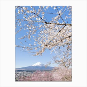 Charming View Of Mount Fuji With Cherry Blossoms Canvas Print